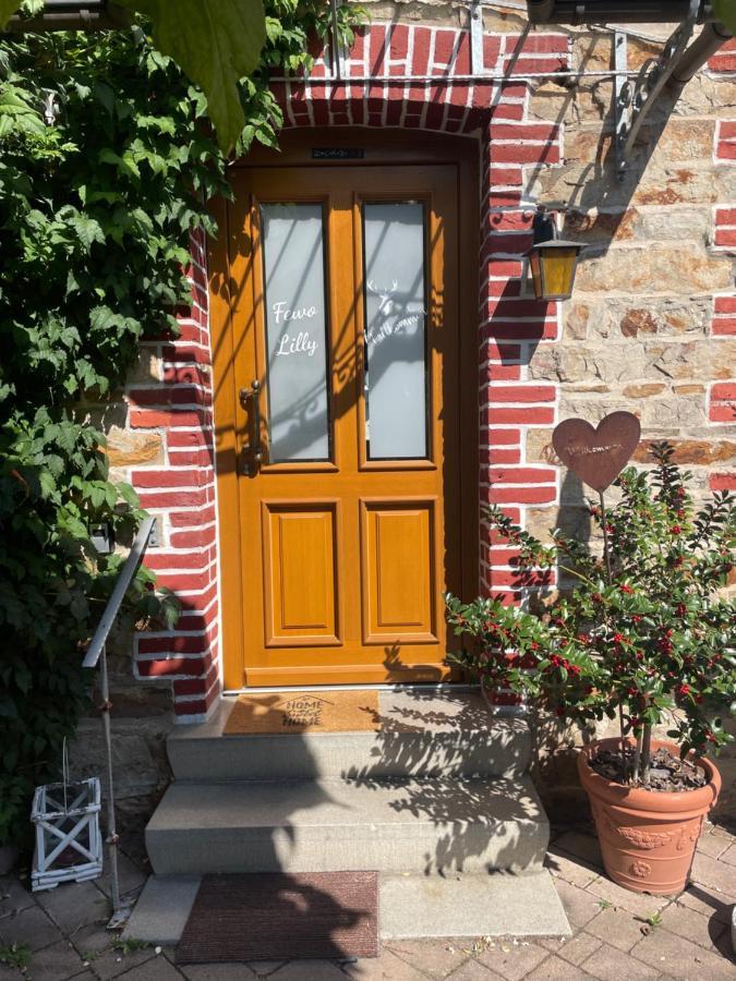 Ferienwohnung Lilly Eitelborn Εξωτερικό φωτογραφία
